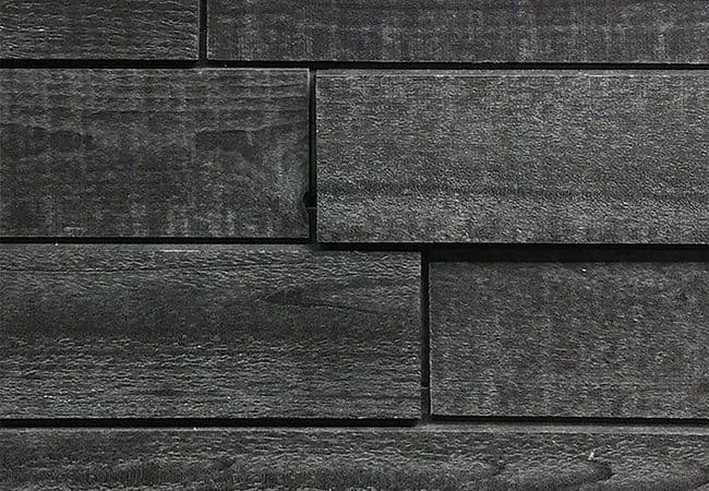 1867 Elevation Wild Wall Concept Shadow