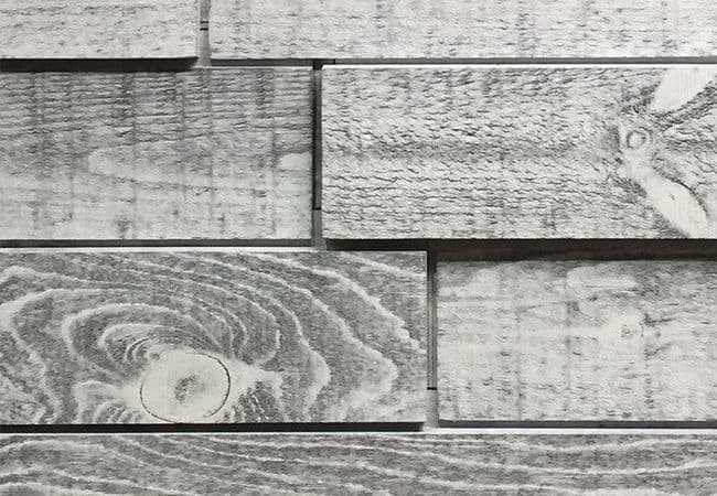 1867 Elevation Wild Wall Concept Eclipse — 1867 Floors