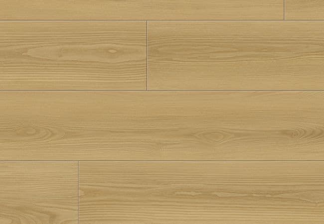 1867 Evolution Magma Jarta