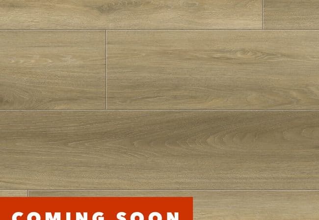 1867 Evolution Magma XL Wheat