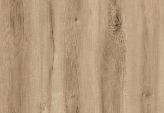 1867 Evolution Origin Boa