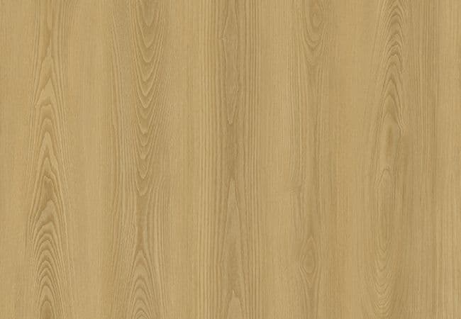 1867 Evolution Rise Corvi