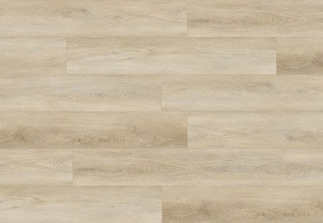 4 Corners Nexgen Blackcomb