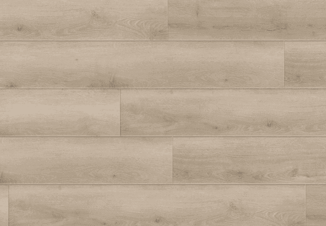 4 Corners Nexgen Chicopee