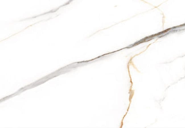 Amazing Porcelain Tile Angel Satvario 24x48 — Amazing Flooring