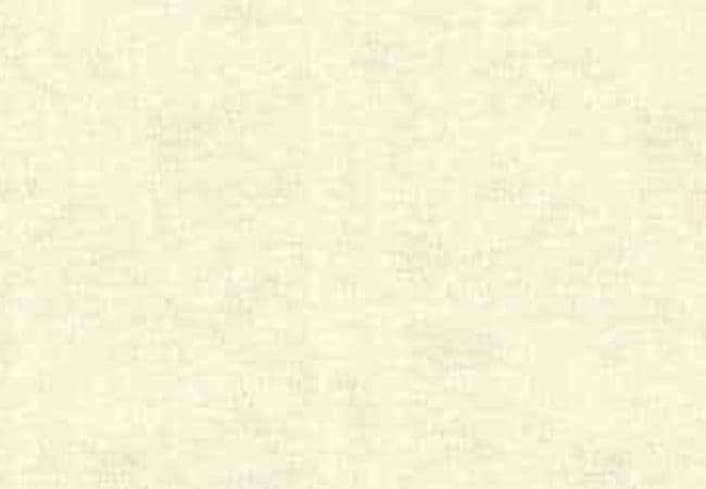 Amazing Porcelain Tile Ns 6062 12x24 — Amazing Flooring