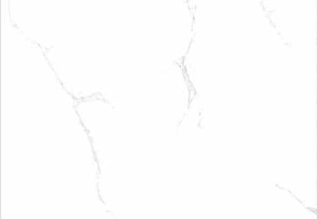 Amazing Porcelain Tile Premium Motion 24x24, Amazing Flooring