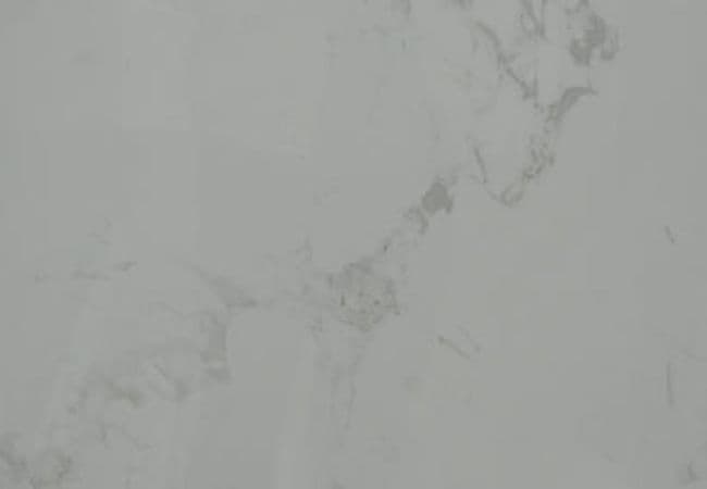 Amazing Porcelain Tile Radial Statvario 24x24 — Amazing Flooring