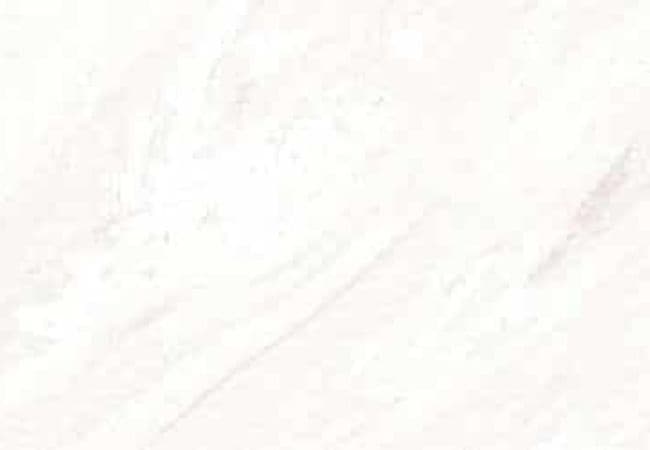 Amazing Porcelain Tile Rodas Blanco 12x24 — Amazing Flooring