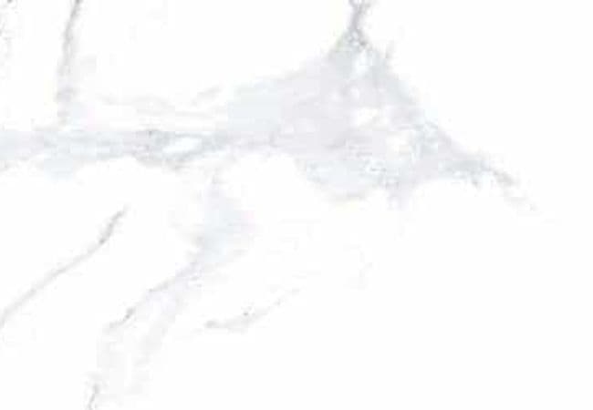 Amazing Porcelain Tile Staturio Elegant 12x24 — Amazing Flooring