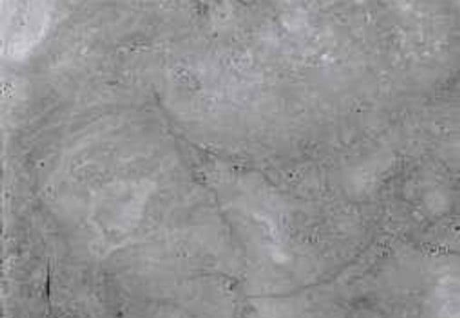 Amazing Porcelain Tile Unicorn 3 12x24, Amazing Flooring