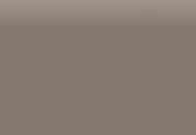 Anatolia Tile Clay Prima 3x24 Porcelain Bullnose Tile Polished 69 882 Matte 69 267 — Anatolia Tile & Stone