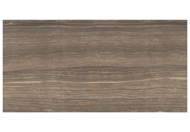 Anatolia Tile Eramosa Natural Porcelain 18 x 36 Rectified Matte, Anatolia Tile & Stone