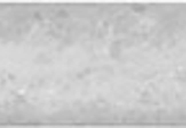 Anatolia Tile Fluid Marble Mini Pencil Polished 77 382 Honed 77 383, Anatolia Tile & Stone