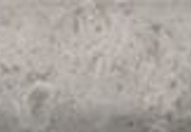 Anatolia Tile Ritz Gray Marble Mini Pencil Polished 77 422 Honed 77 424, Anatolia Tile & Stone