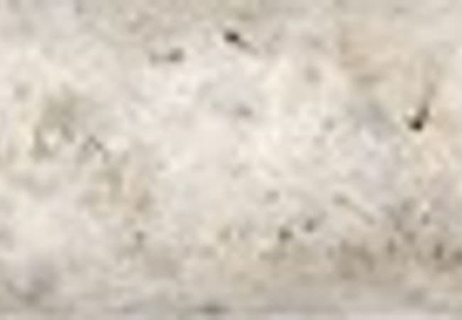 Anatolia Tile Silver Ash Travertine Mini Pencil Honed 77 390 — Anatolia Tile & Stone