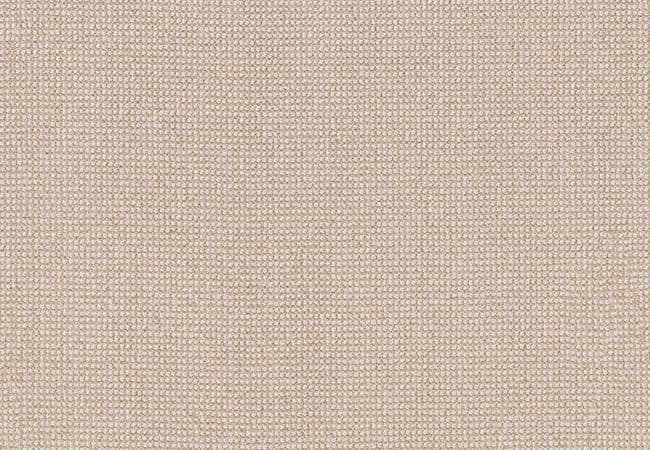 Anderson Tuftex Alluring Papyrus, Anderson Tuftex
