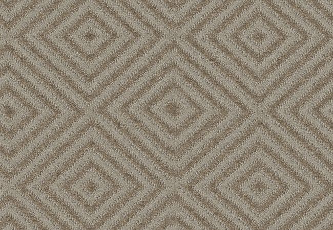 Anderson Tuftex Carpet Aristocrat Shady — Anderson Tuftex