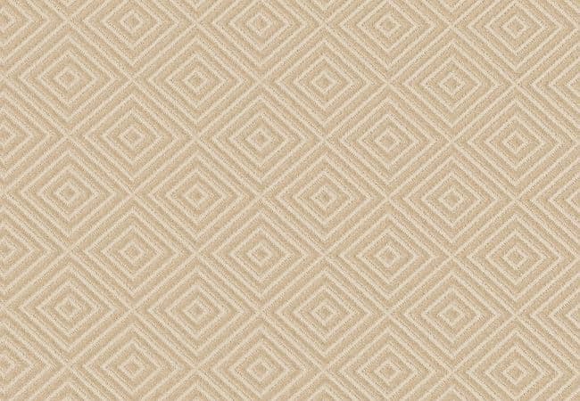 Anderson Tuftex Carpet Aristocrat Sheer Sunlight — Anderson Tuftex