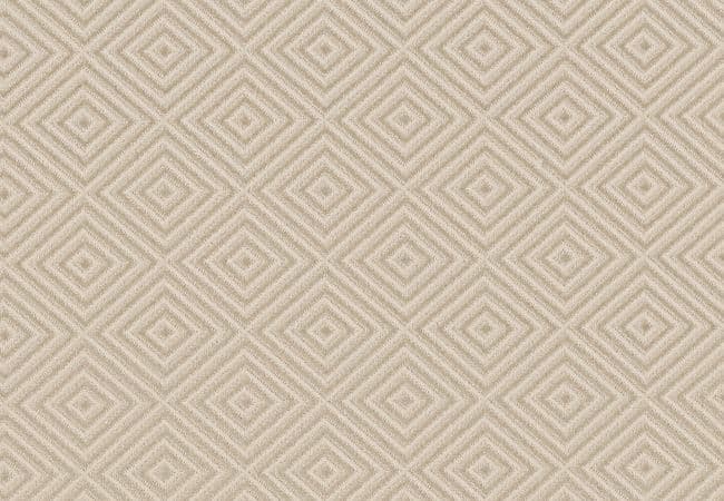 Anderson Tuftex Carpet Aristocrat Sparkling — Anderson Tuftex