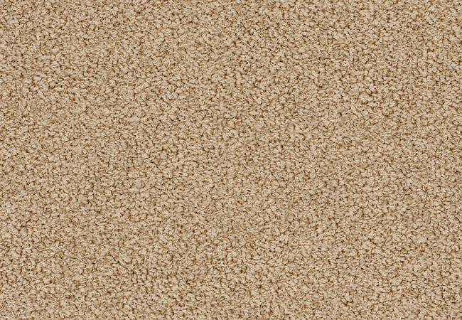 Anderson Tuftex Carpet Bali Amber Dawn — Anderson Tuftex