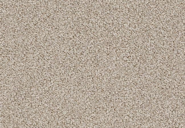 Anderson Tuftex Carpet Bali Stucco Tan — Anderson Tuftex