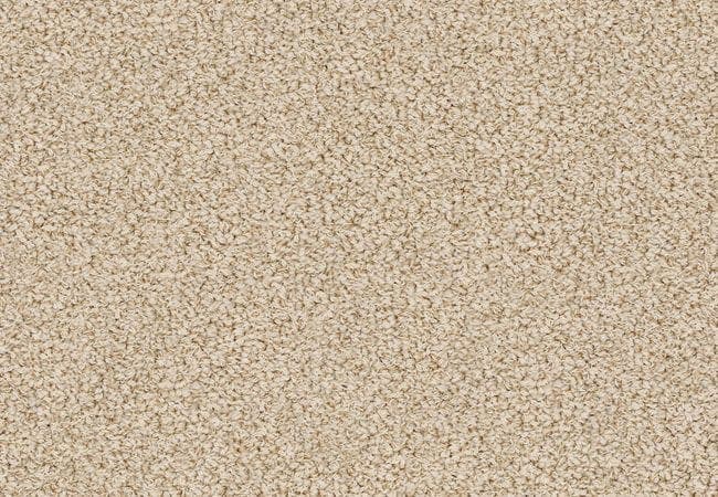 Anderson Tuftex Carpet Bali Summertime, Anderson Tuftex