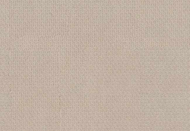 Anderson Tuftex Carpet Chapel Ridge Brushed Ivory — Anderson Tuftex