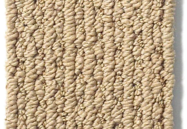 Anderson Tuftex Carpet Chapel Ridge Chamois — Anderson Tuftex
