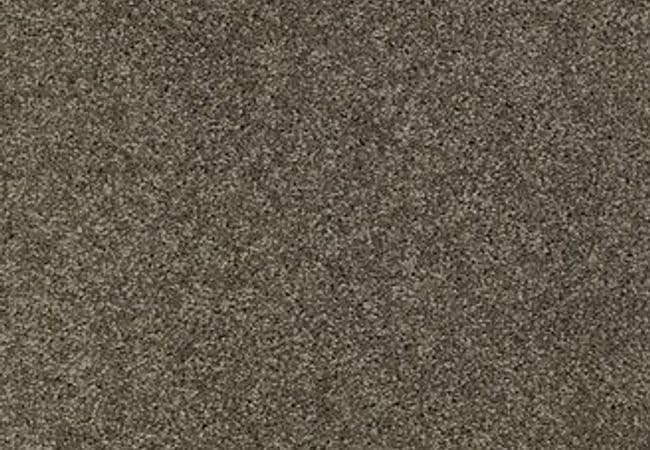 Anderson Tuftex Carpet Chapel Ridge Charcoal — Anderson Tuftex