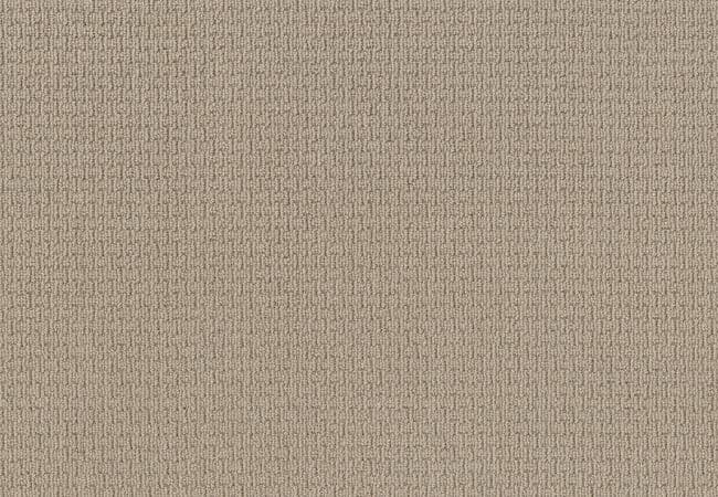 Anderson Tuftex Carpet Chapel Ridge Chic Cream — Anderson Tuftex