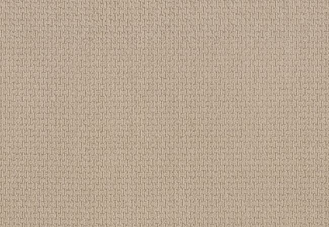 Anderson Tuftex Carpet Chapel Ridge Dream Dust — Anderson Tuftex