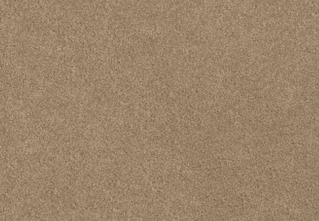 Anderson Tuftex Carpet Chapel Ridge Sandcastle — Anderson Tuftex