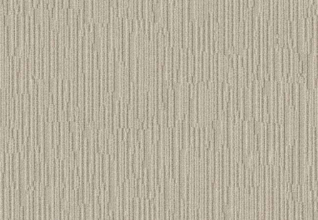 Anderson Tuftex Carpet Chase Birch — Anderson Tuftex