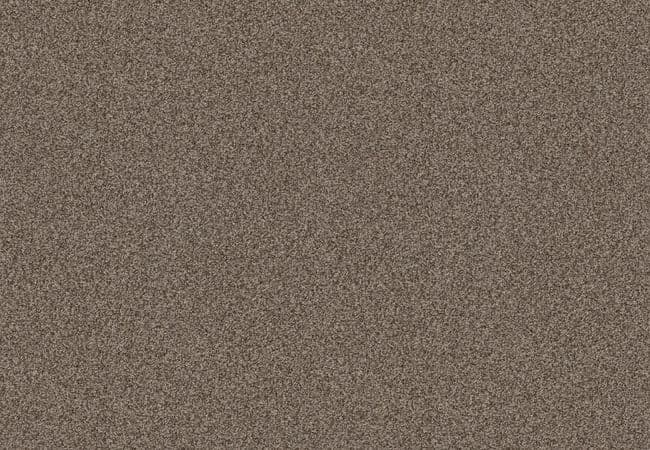 Anderson Tuftex Carpet Chase Desert Palm — Anderson Tuftex