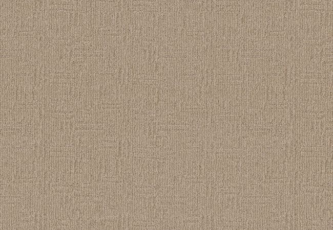 Anderson Tuftex Carpet Diego Parchment, Anderson Tuftex