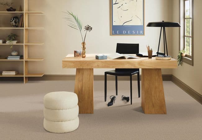 Anderson Tuftex Diego Anderson Tuftex flooring collection sample