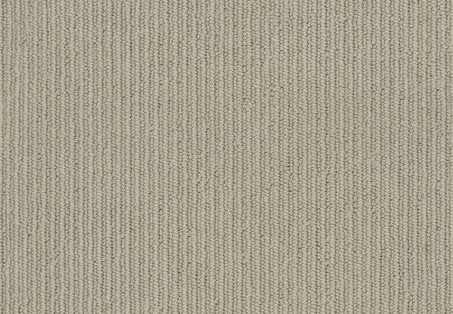 Anderson Tuftex Carpet Dynasty Frontier