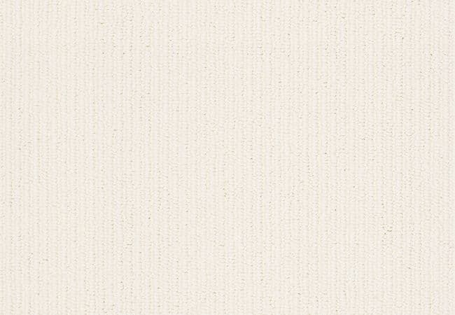 Anderson Tuftex Carpet Dynasty Froth