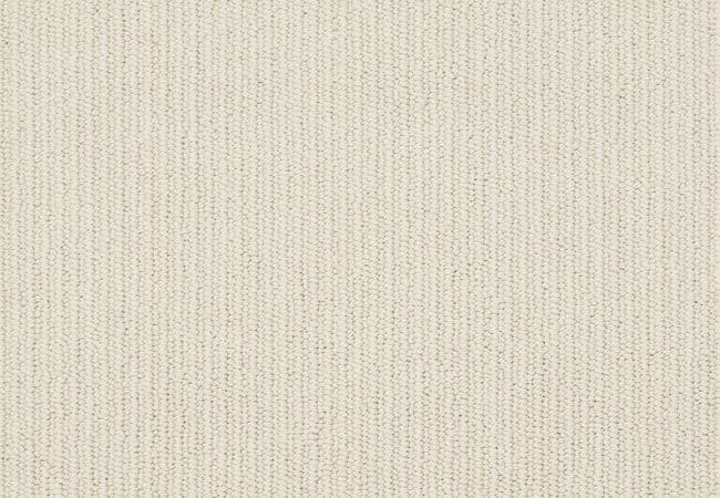 Anderson Tuftex Carpet Dynasty Shaded White