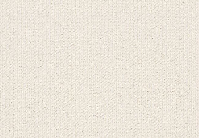 Anderson Tuftex Carpet Dynasty Solar