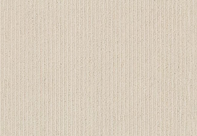 Anderson Tuftex Carpet Dynasty Winter Light