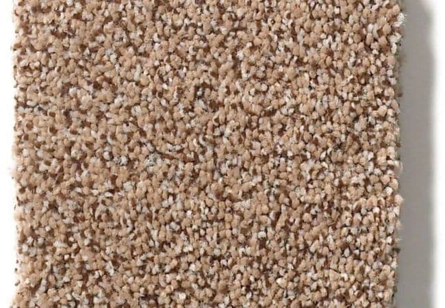 Anderson Tuftex Carpet Fair Isle Desert View, Anderson Tuftex