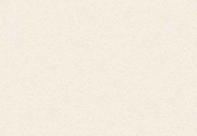 Anderson Tuftex Carpet Fair Isle French White — Anderson Tuftex
