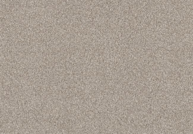 Anderson Tuftex Carpet Fair Isle Misty Dawn — Anderson Tuftex
