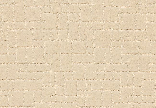Anderson Tuftex Carpet Faux Paw Antiquity — Anderson Tuftex
