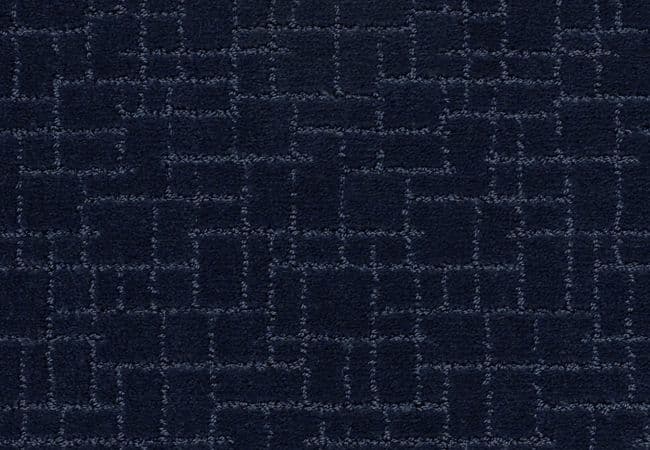 Anderson Tuftex Carpet Faux Paw Downpour, Anderson Tuftex