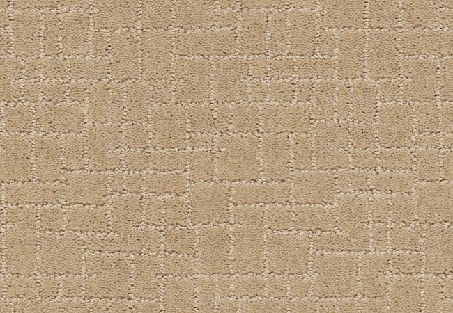 Anderson Tuftex Carpet Faux Paw Monterey — Anderson Tuftex