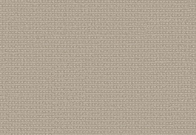 Anderson Tuftex Carpet Fetch Birch, Anderson Tuftex