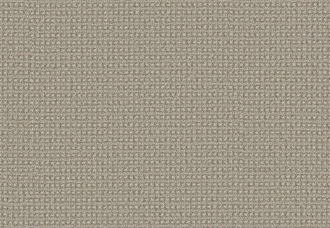 Anderson Tuftex Carpet Fetch Briarwood — Anderson Tuftex